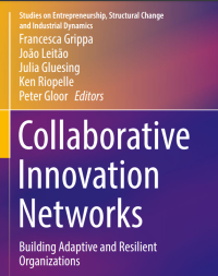 Image of Collaborative Innovation Networks : Building adaptive and resilient organizations